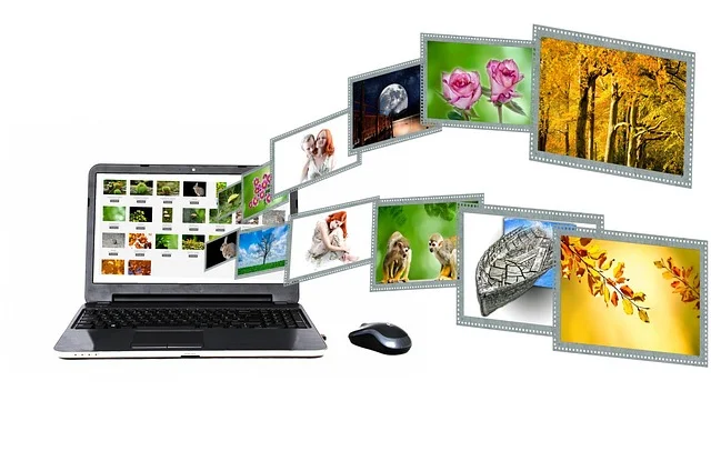 Optimisation SEO